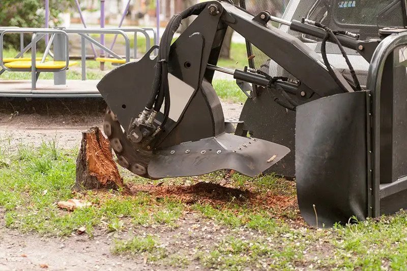 Crane Assisted Tree Removal